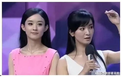 娱乐圈吃瓜爆料燕子,燕子吃瓜爆料，揭秘明星幕后故事